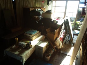 20131116izu_1