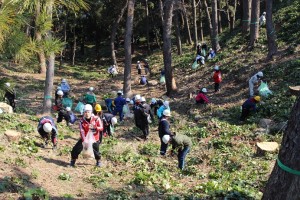 松林現場は斜面での作業だったため足場に注意しながら、作業を進めました